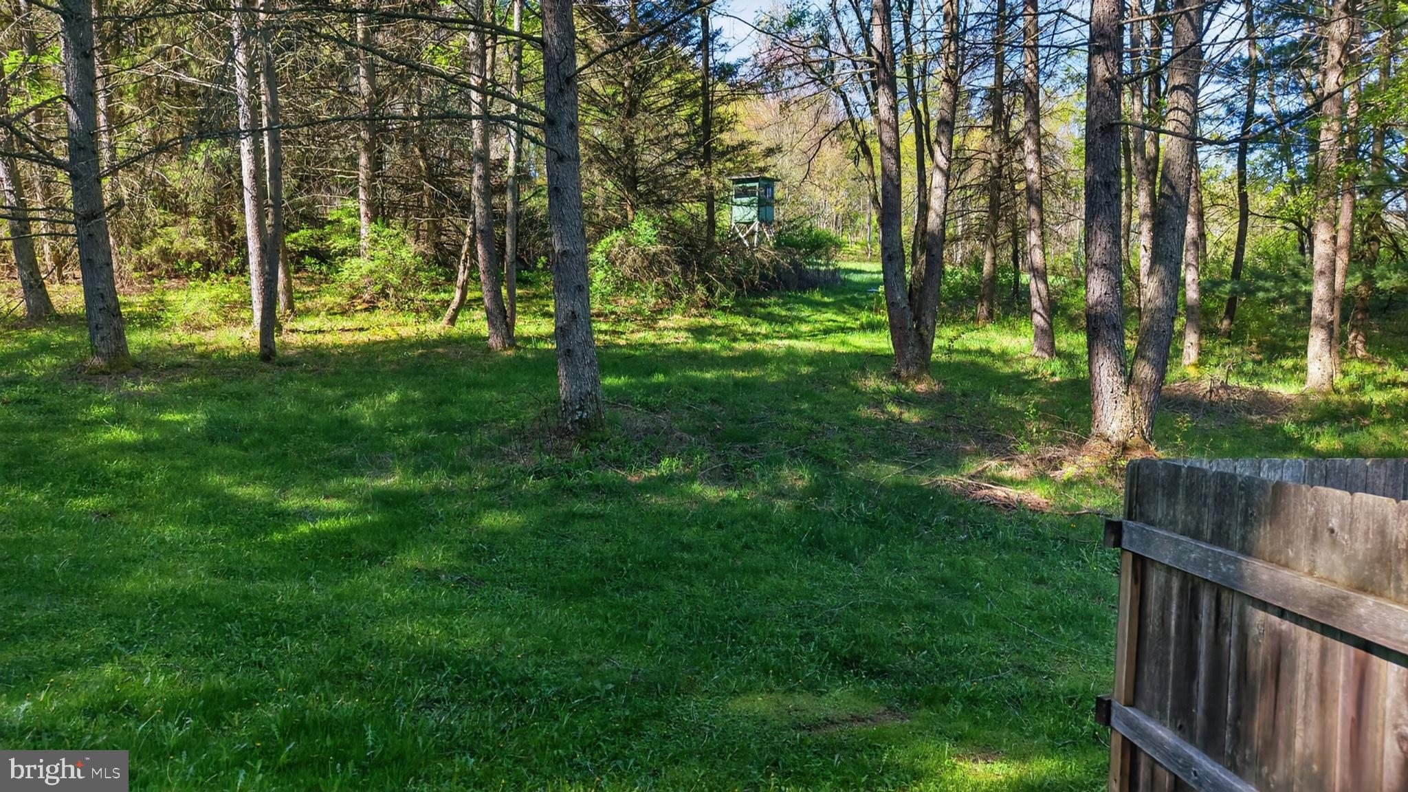 259 A A-Frame Road Coudersport, PA 16915 - Photo 98 of 130 Serene woodland retreat awaits you.