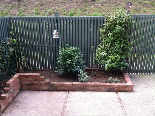 1231 Terra Nova Boulevard Pacifica, CA 94044 - Photo 18 of 18 a view of a backyard with plants and trees
