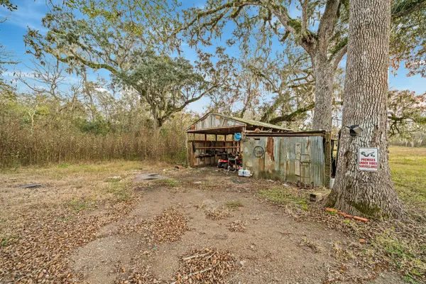 a view of open space with trees