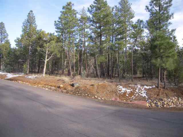 Lot 29 Homestead Torreon Show Low, AZ 85901 - Photo 3 of 3