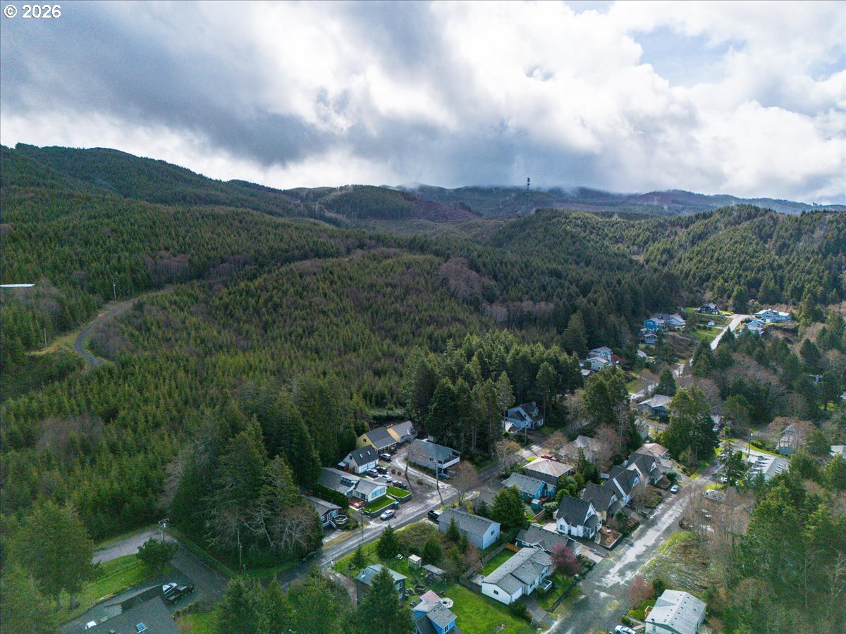 142 South Quadrant Street Rockaway Beach, OR 97136 - Photo 27 of 42 a view of a lush green hillside and houses