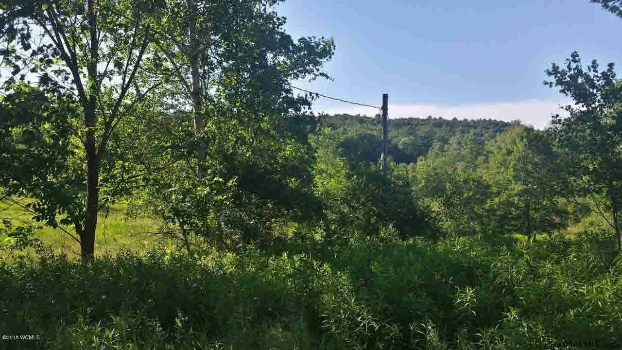 217 Kilburn Road Cossayuna, NY 12823 - Photo 7 of 9 Photo 7