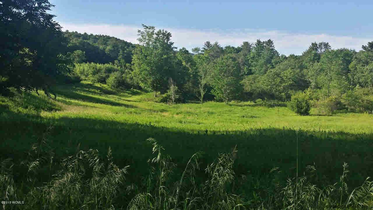217 Kilburn Road Cossayuna, NY 12823 - Photo 8 of 9 Photo 8