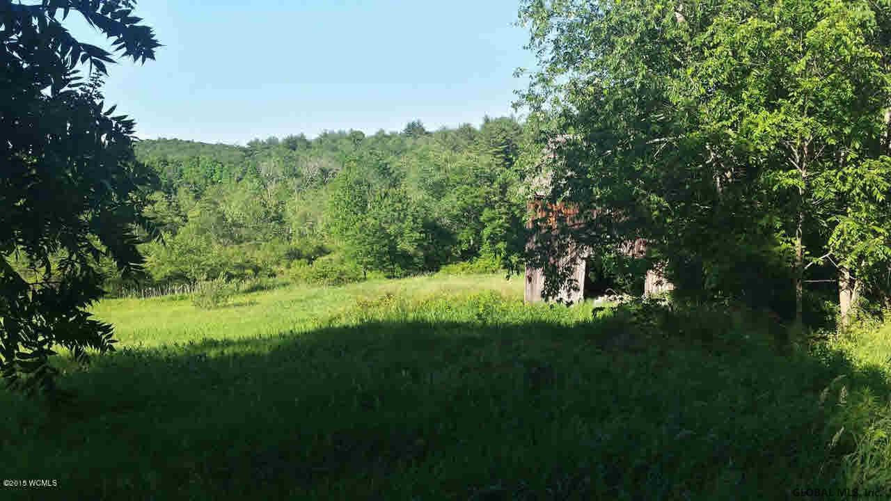 217 Kilburn Road Cossayuna, NY 12823 - Photo 9 of 9 Photo 9