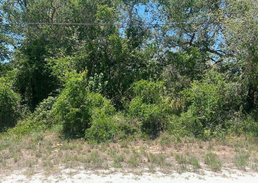 1801 North Croton Road Avon Park, FL 33825 - Photo 1 of 2 Photo 1