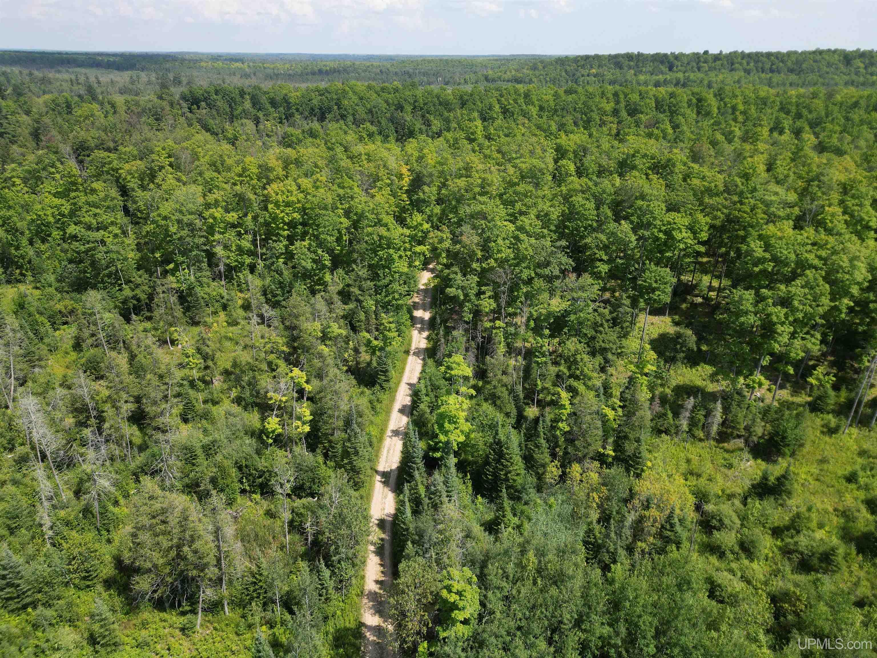 Tbd Cr 557 Road Perronville, MI 49873 - Photo 12 of 27