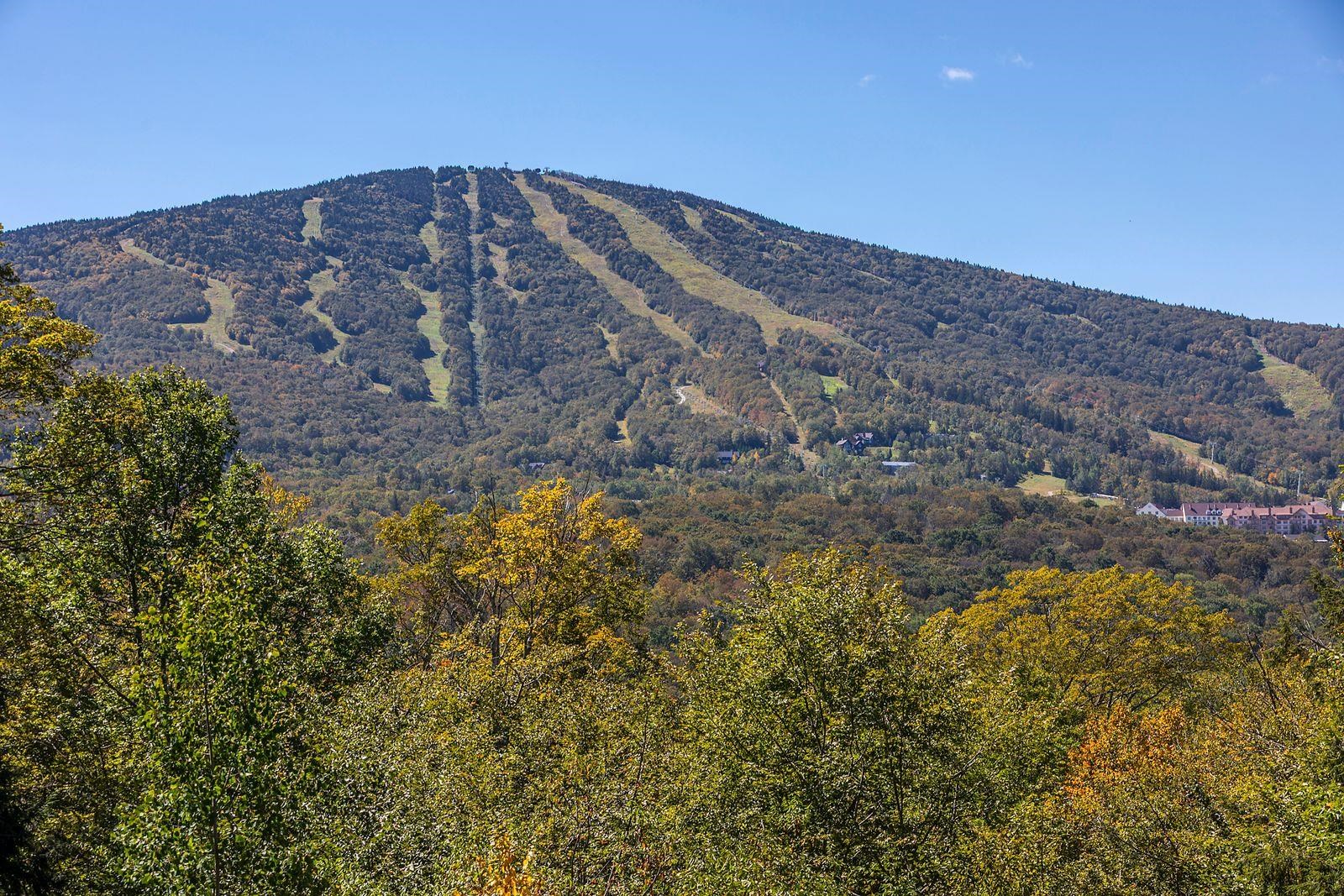 14 Mountain Haunts Road Winhall, VT 05340 - Photo 2 of 33