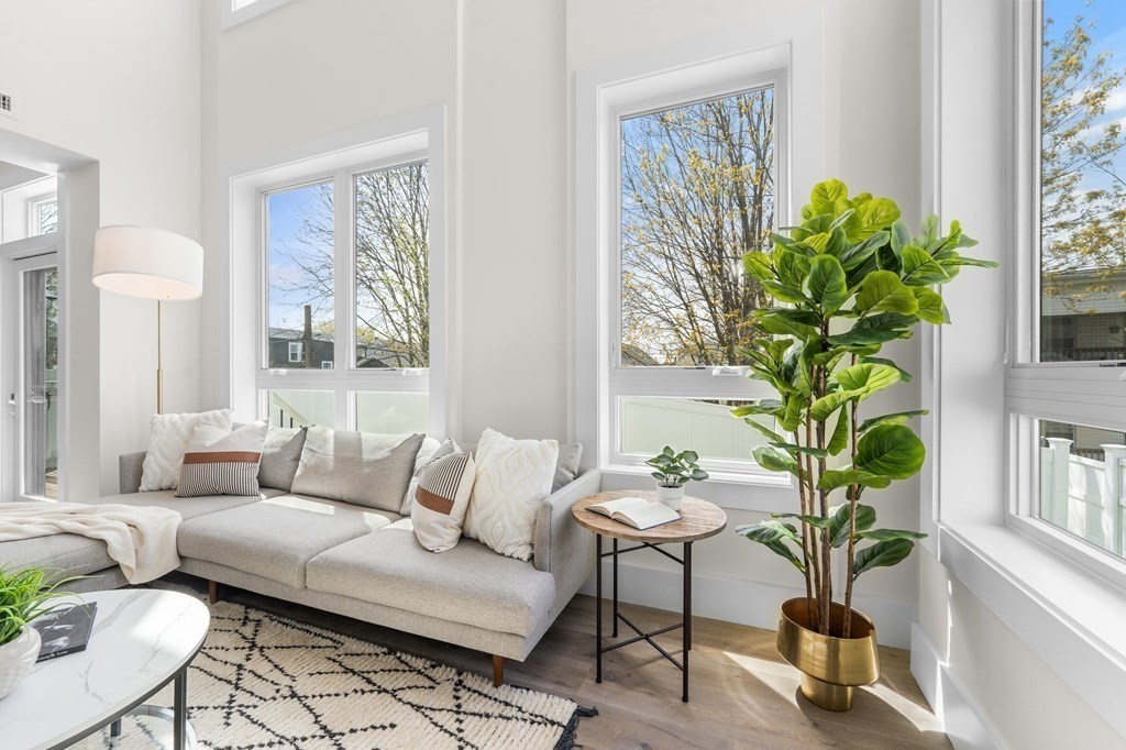 120 School Street, Unit 3 Boston, MA 02119 - Photo 4 of 30 a living room with furniture and a potted plant
