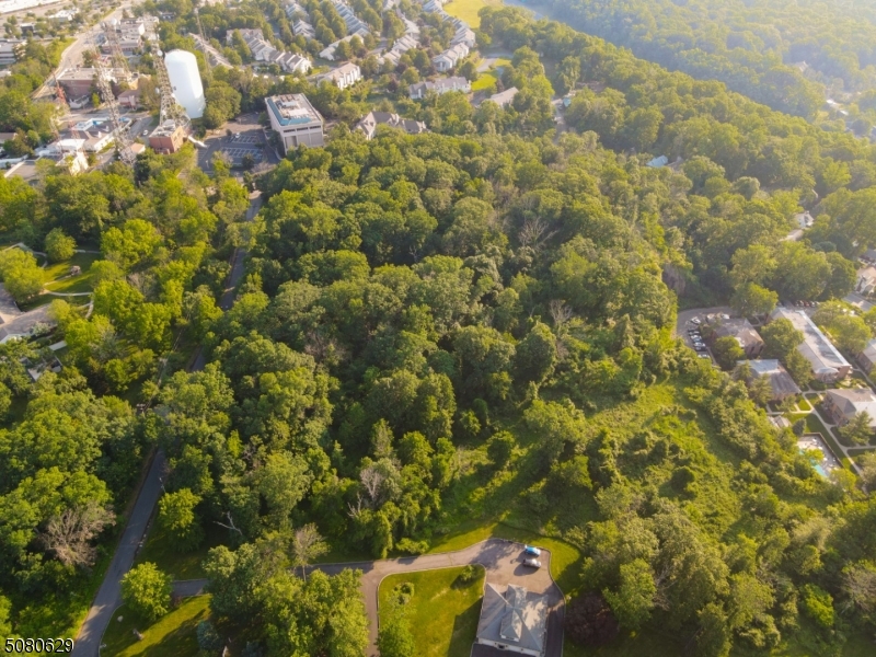 2 Ridge Road West Orange, NJ 07052 - Photo 2 of 10 a view of a yard with a tree