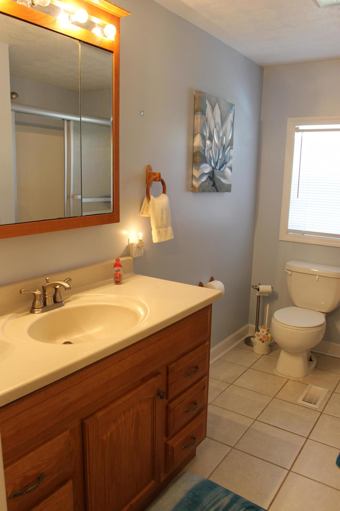 569 North Cunningham Road Seymour, TN 37865 - Photo 7 of 29 2018-03-02 03.48.43