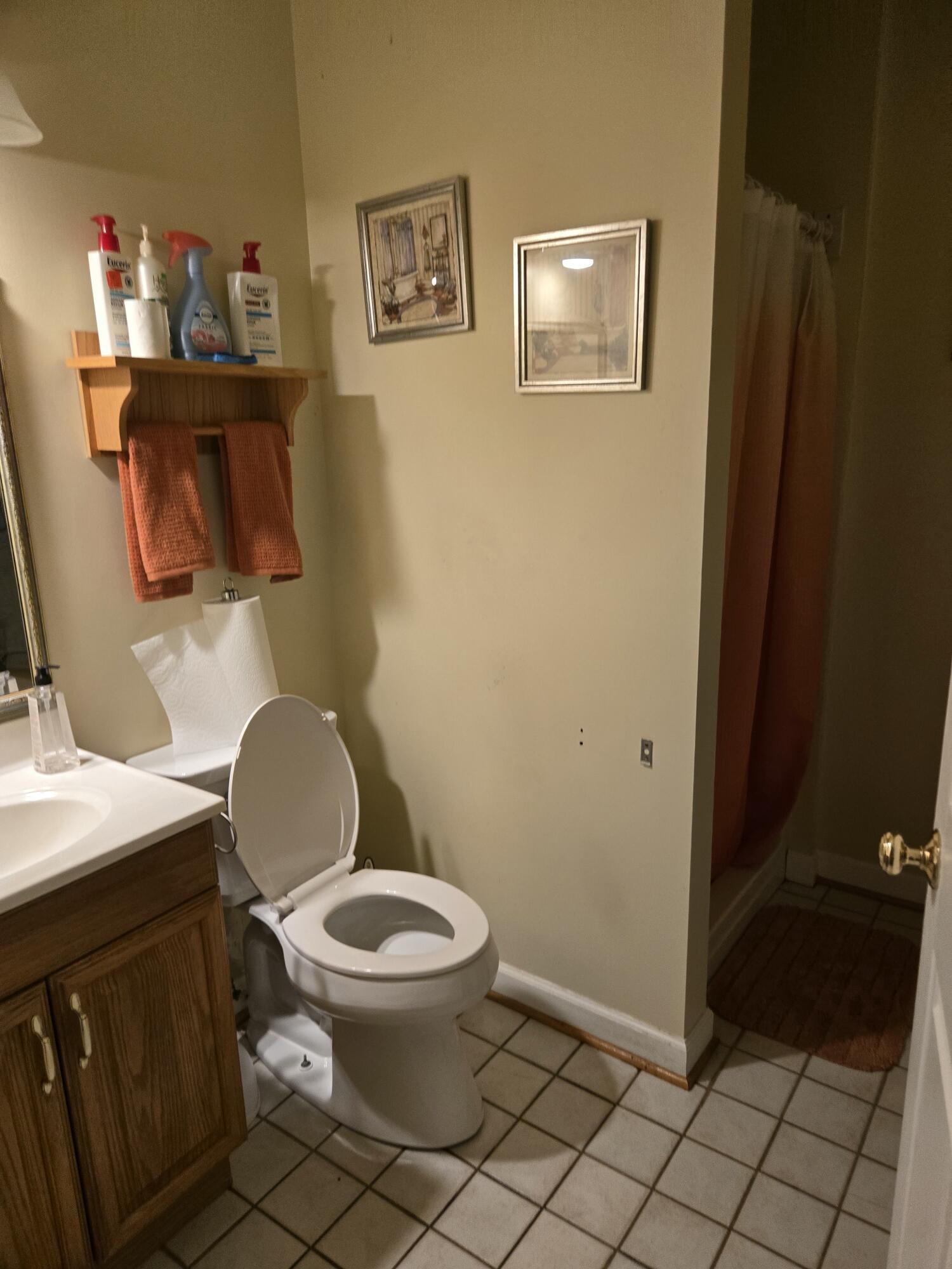 8146 Williamson Road Roanoke, VA 24019 - Photo 12 of 27 a white toilet sitting next to a bathroom sink