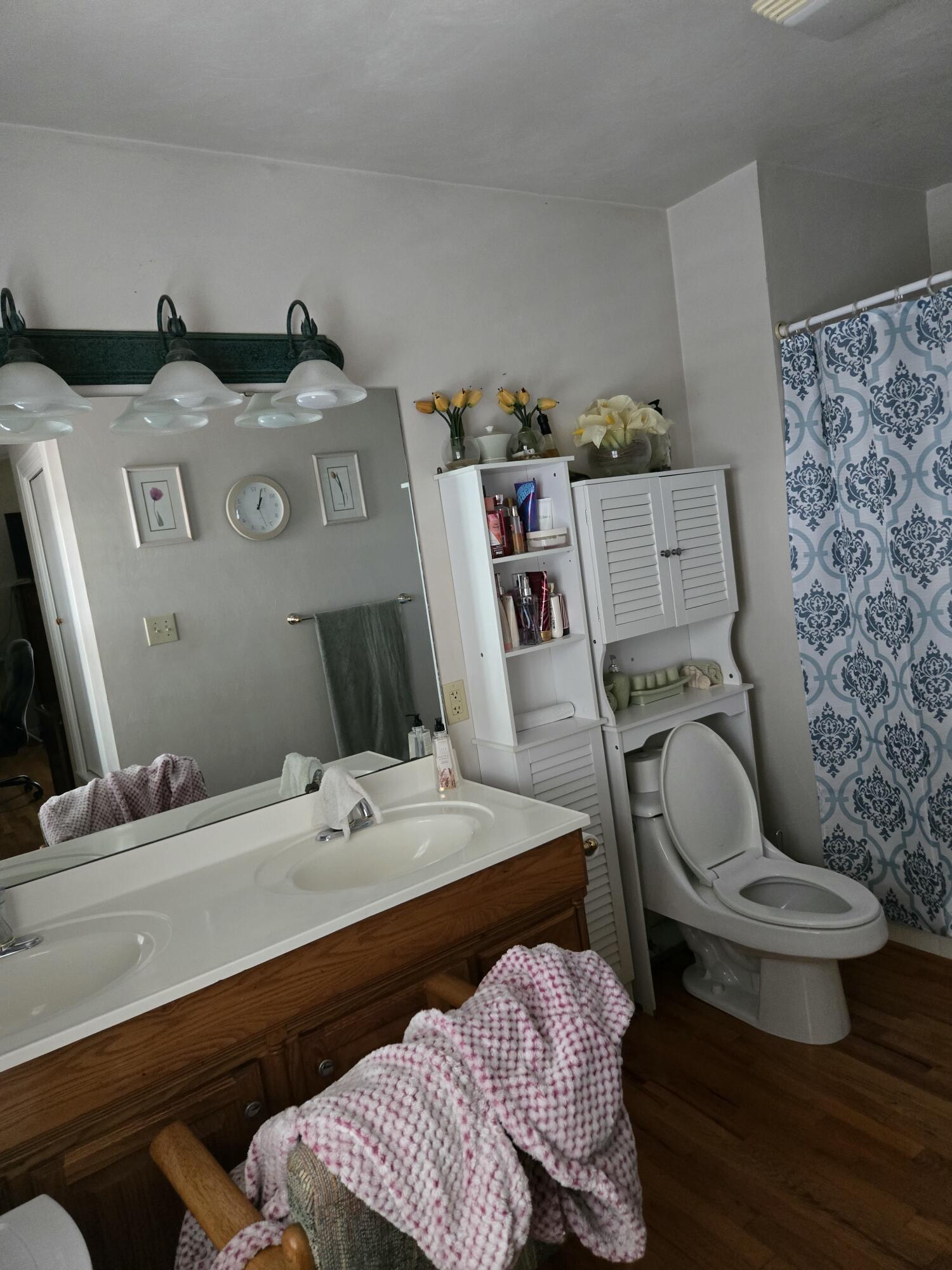 8146 Williamson Road Roanoke, VA 24019 - Photo 17 of 27 a bathroom with a sink toilet and a mirror