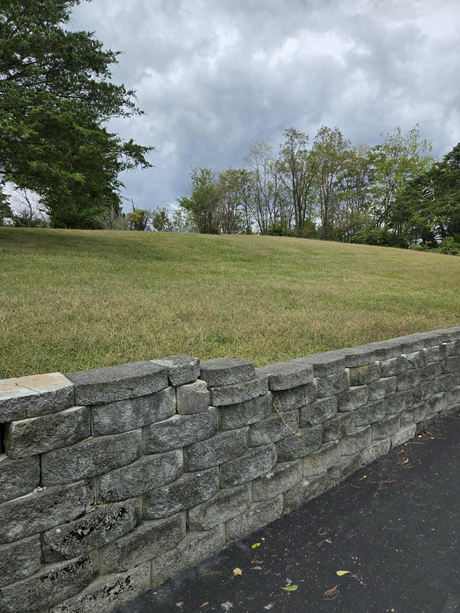 8146 Williamson Road Roanoke, VA 24019 - Photo 23 of 27 VIEW OF LAND