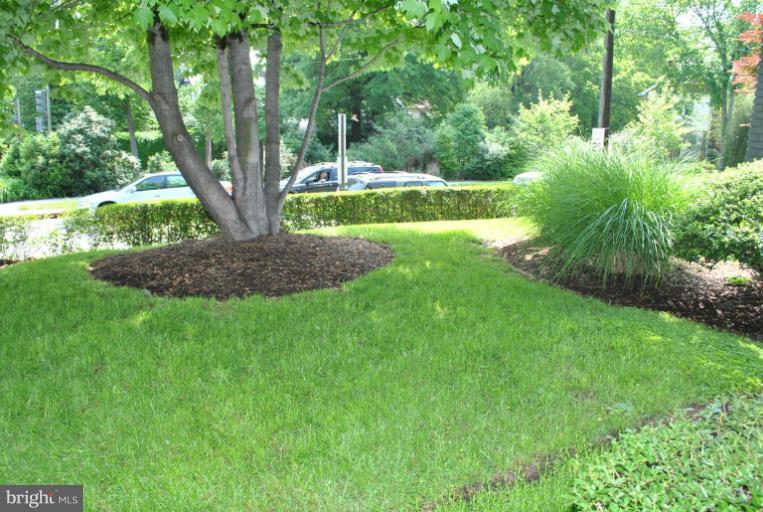 4100 Military Road Northwest Washington, DC 20015 - Photo 15 of 18 Exterior (General)