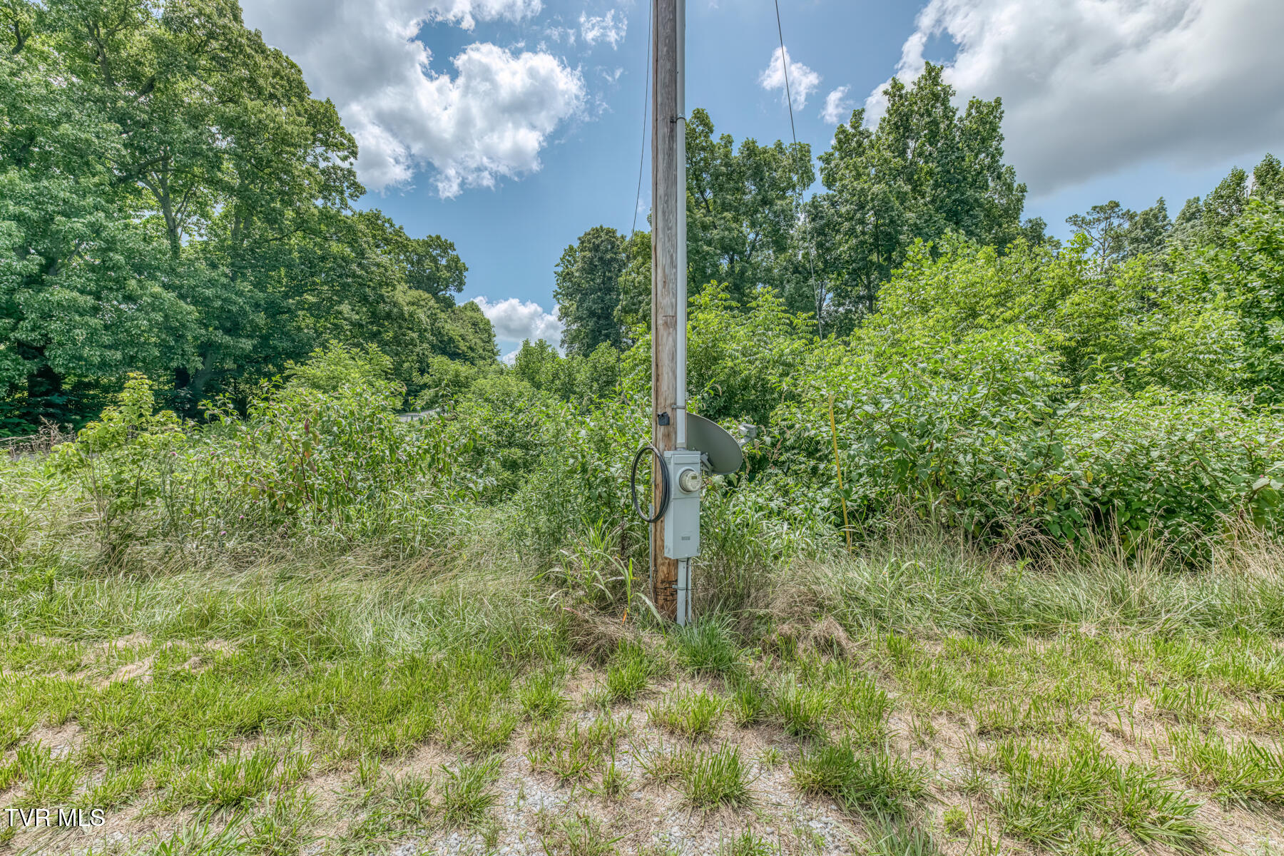 2083 Bundren Mountain Road Tazewell, TN 37879 - Photo 6 of 42 2083 Bundren Mountain Rd-14