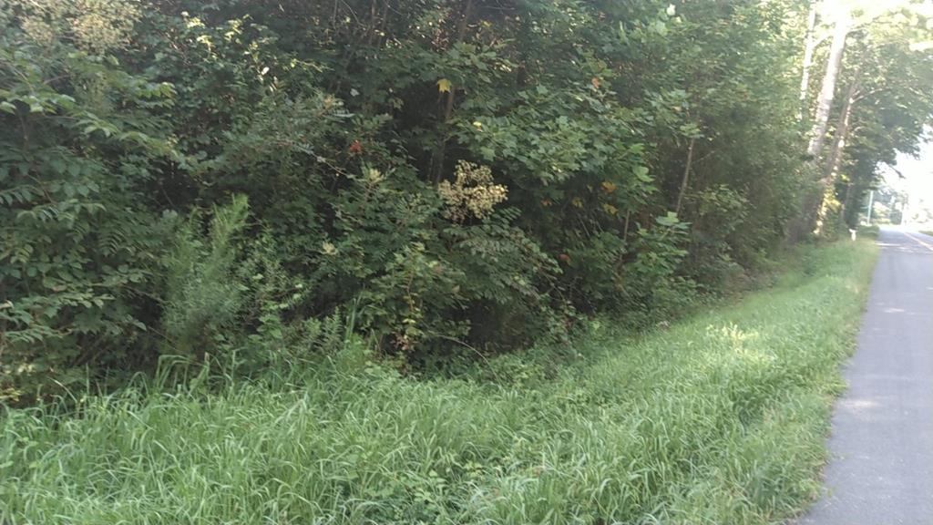 Lot 58 Seaside Road, Unit 58 Painter, VA 23420 - Photo 5 of 6