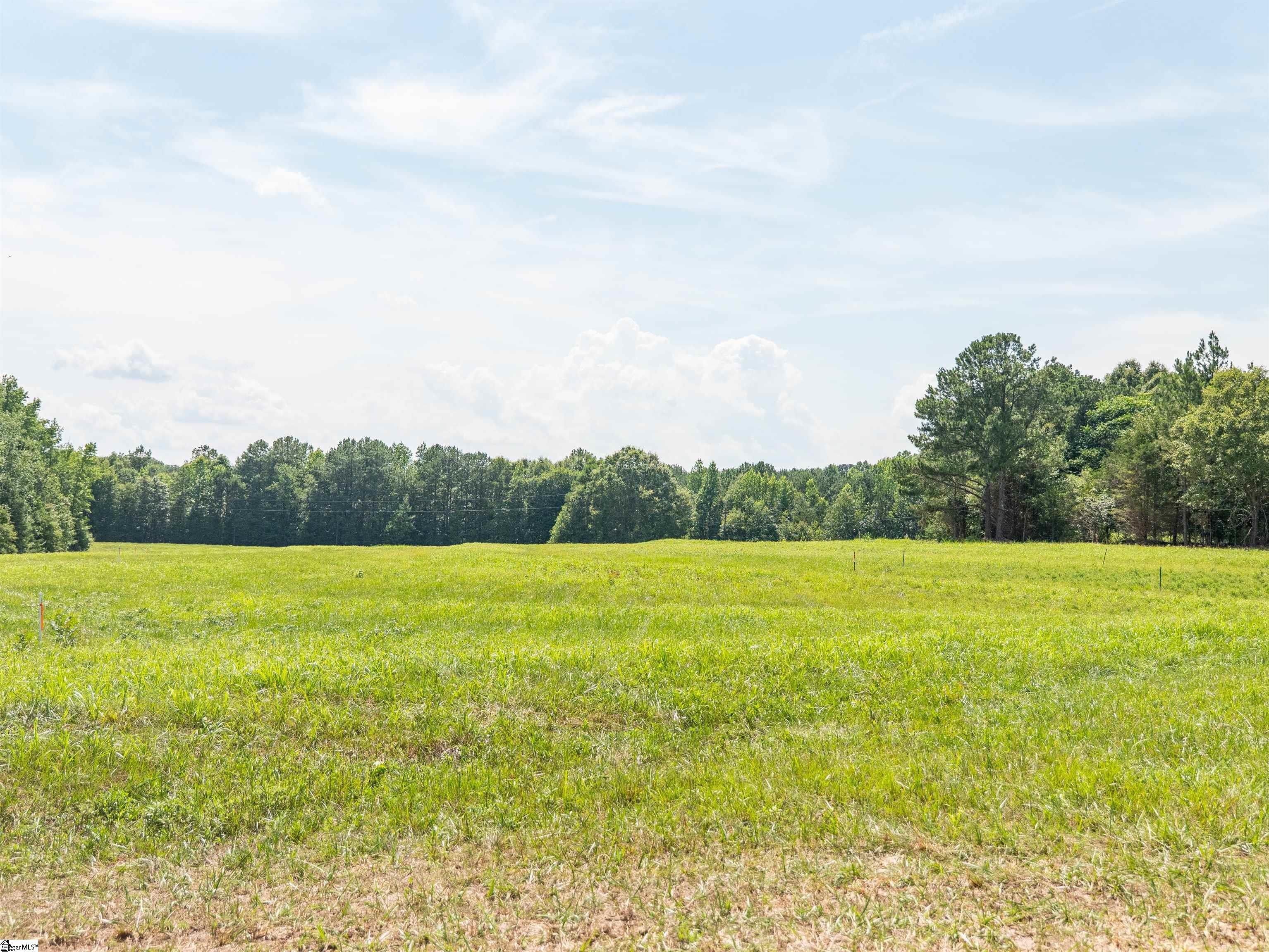 0 Cheek Road, Unit LOT 2 Gray Court, SC 29645 - Photo 19 of 23