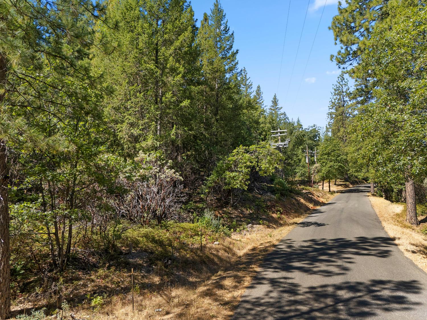 0 Todd Valley Road Foresthill, CA 95631 - Photo 3 of 5 a view of a yard with plants and trees