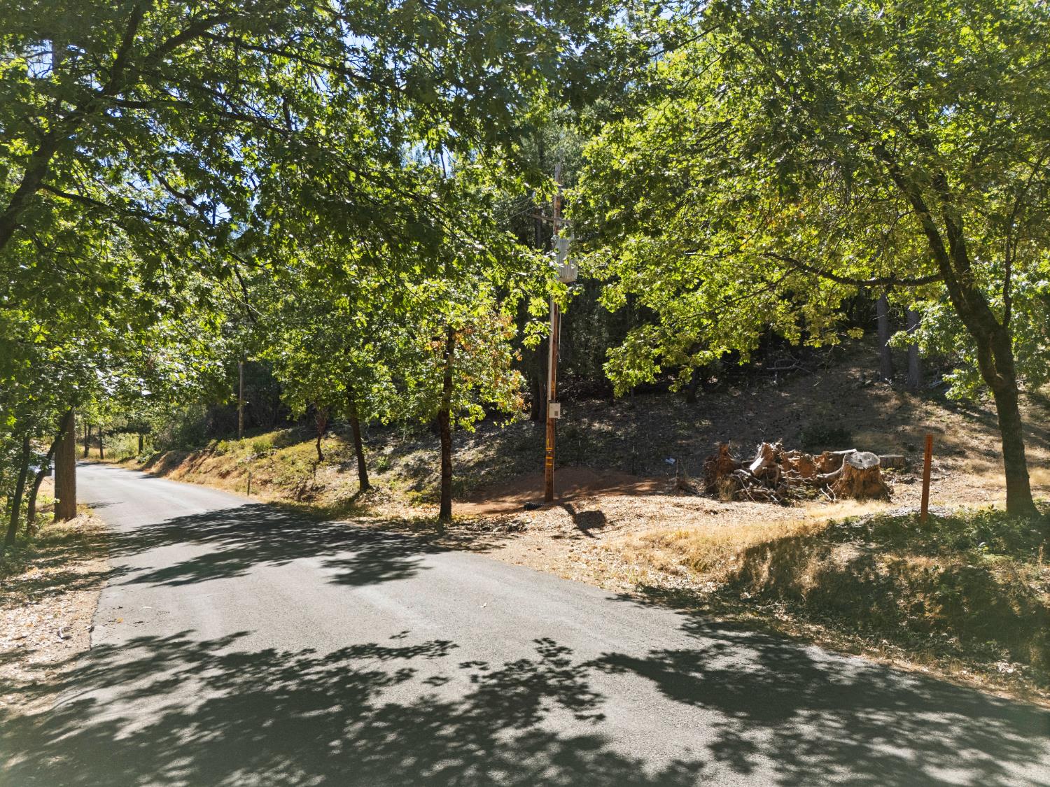 0 Todd Valley Road Foresthill, CA 95631 - Photo 4 of 5 a view of a yard with snow