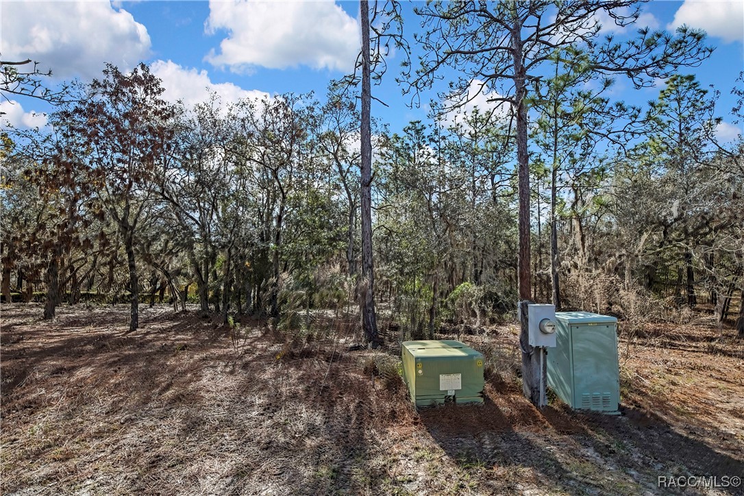 3905 North Longvalley Road Hernando, FL 34442 - Photo 6 of 12