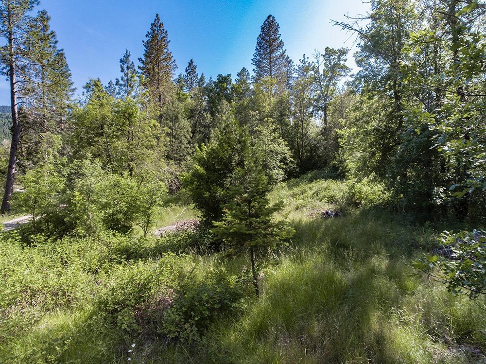 0 Cedar Flat Road Williams, OR 97544 - Photo 7 of 12 Additional Photo