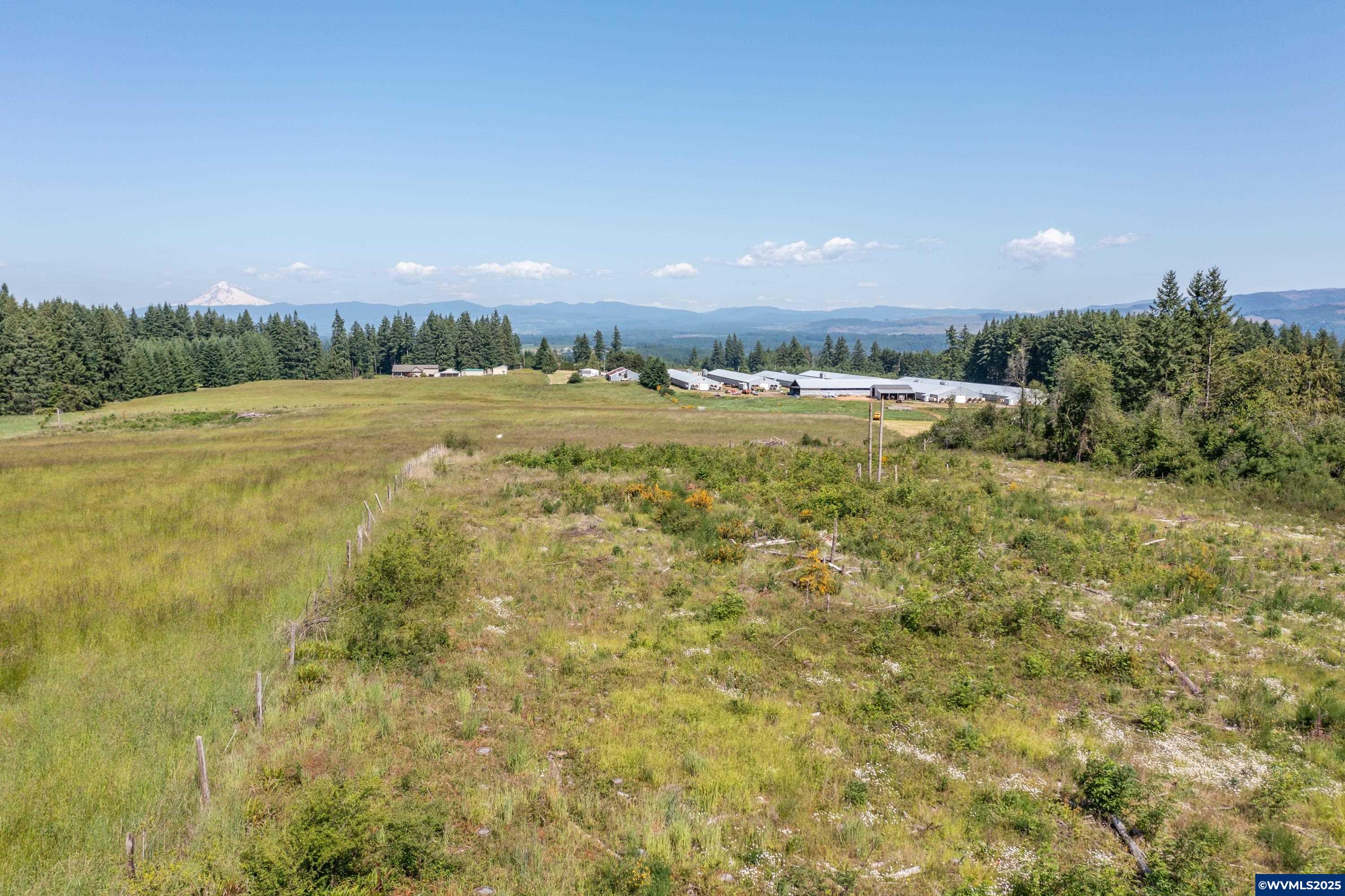 22411 South Schram Road Beavercreek, OR 97004 - Photo 12 of 13