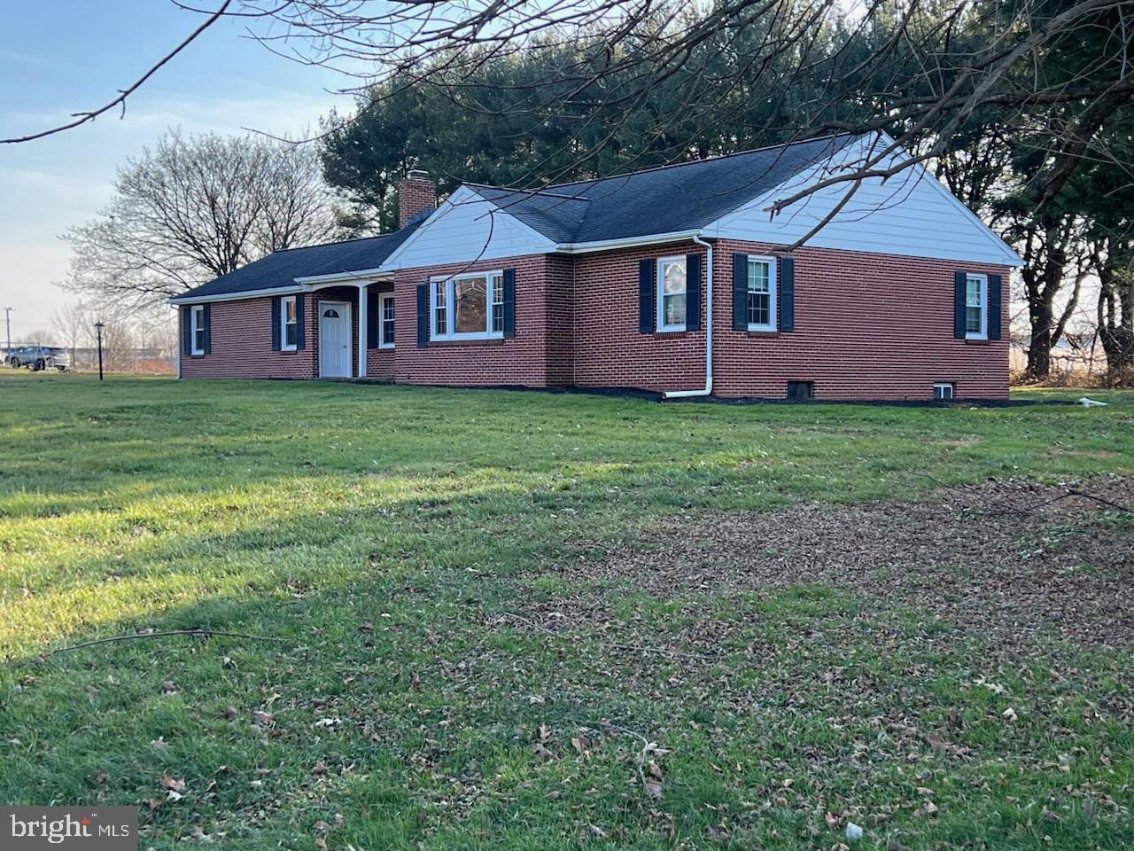 a view of a yard in front of a house with plants and large tree