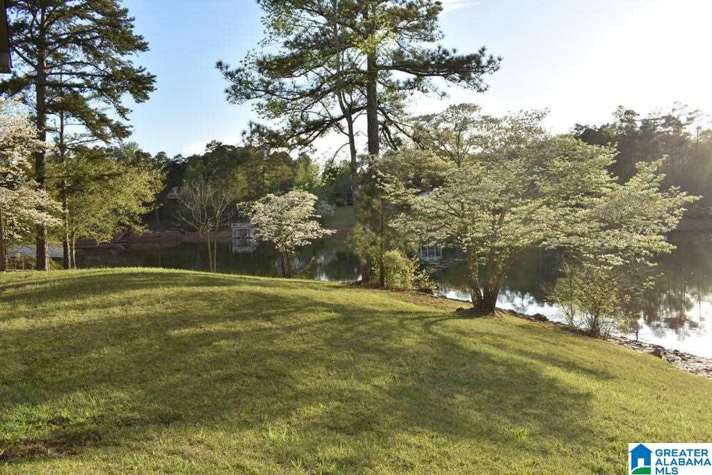 293 Sunset Drive Wedowee, AL 36278 - Photo 22 of 23