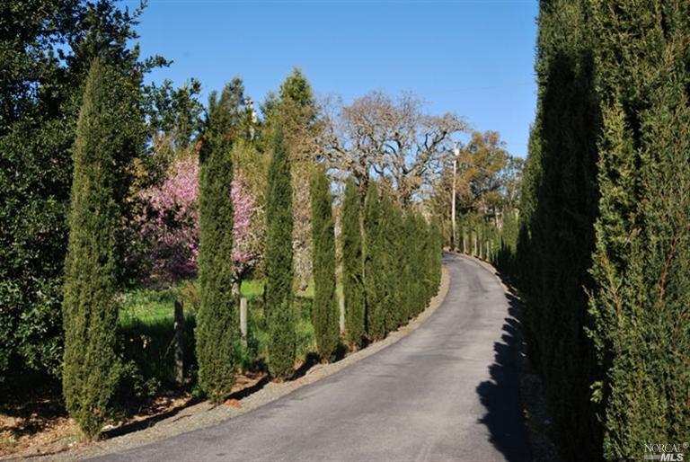 1636 London Ranch Road Glen Ellen, CA 95442 - Photo 1 of 1 Gallery Image 1