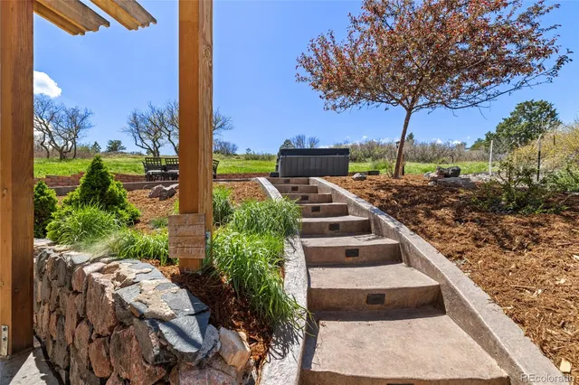 a view of a backyard with plants