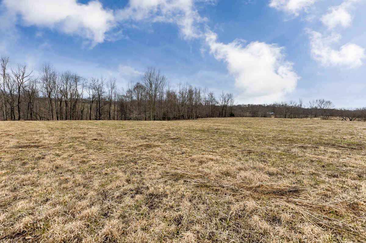 3893 B Beech Hill Road Pulaski, TN 38478 - Photo 11 of 24 a view of outdoor space and trees