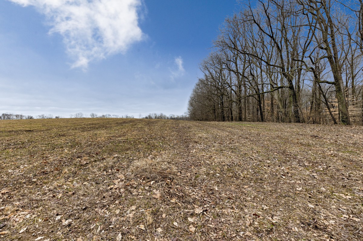 3893 B Beech Hill Road Pulaski, TN 38478 - Photo 12 of 24