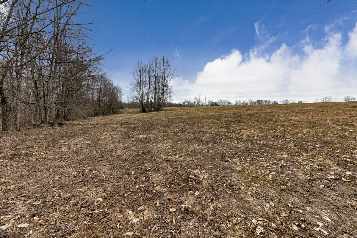 3893 B Beech Hill Road Pulaski, TN 38478 - Photo 13 of 24 a view of a field with an trees