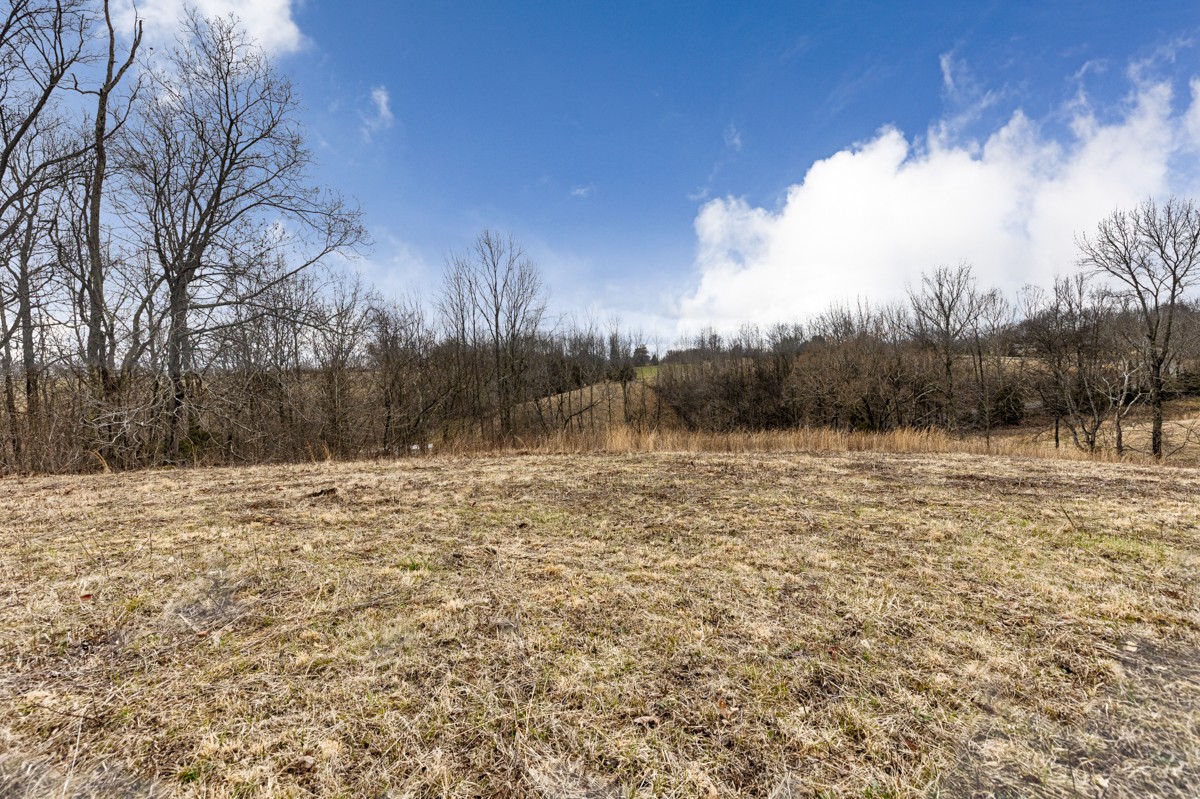 3893 B Beech Hill Road Pulaski, TN 38478 - Photo 15 of 24 a view of a yard