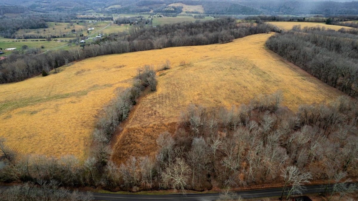 3893 B Beech Hill Road Pulaski, TN 38478 - Photo 16 of 24 a view of a yard