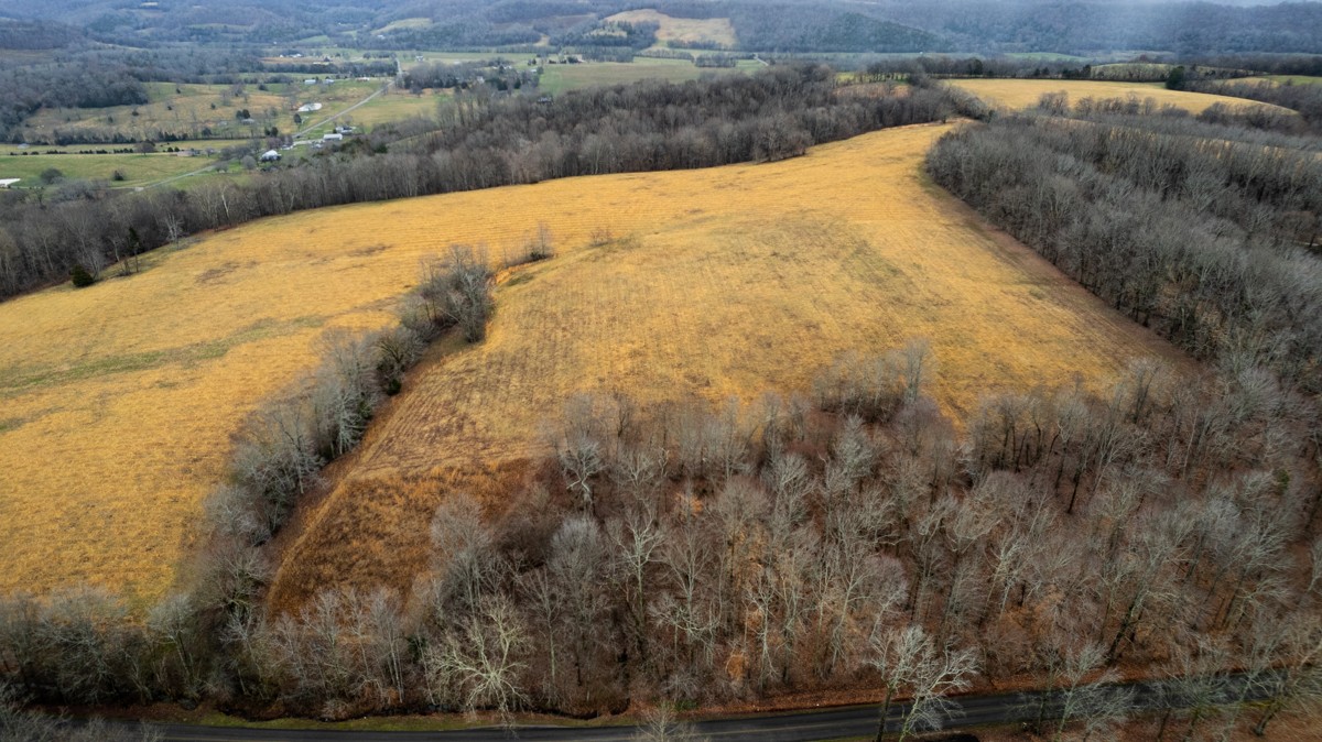 3893 B Beech Hill Road Pulaski, TN 38478 - Photo 17 of 24 a view of a yard