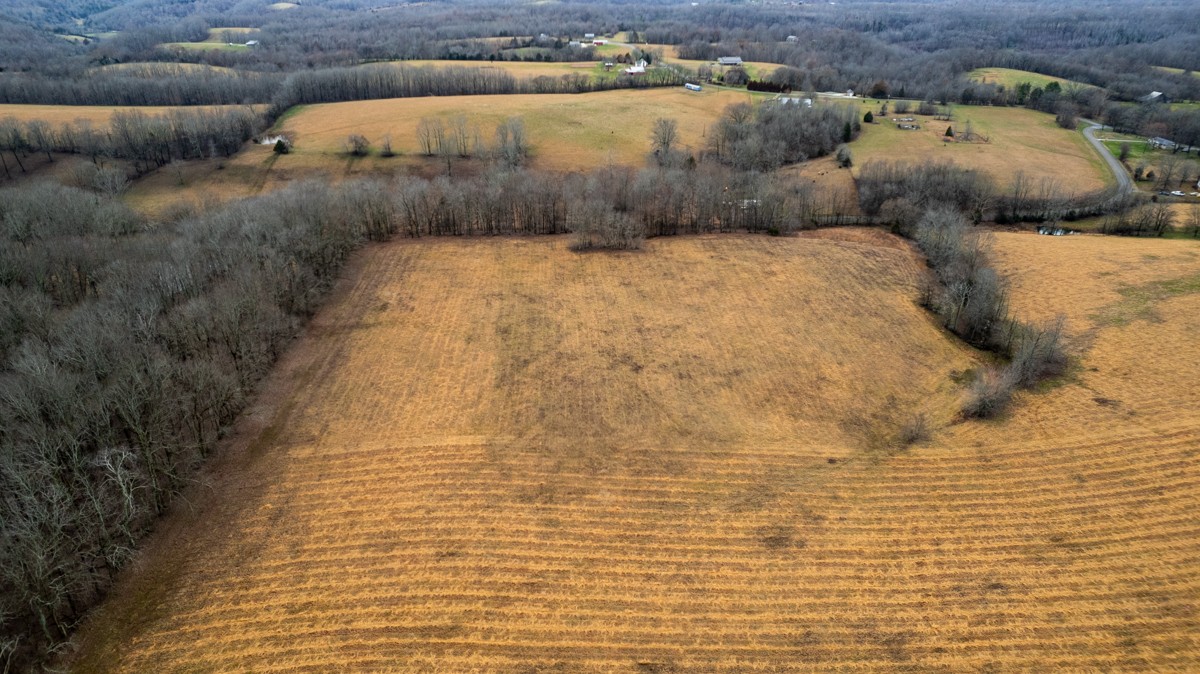 3893 B Beech Hill Road Pulaski, TN 38478 - Photo 19 of 24 a view of outdoor space and lake view