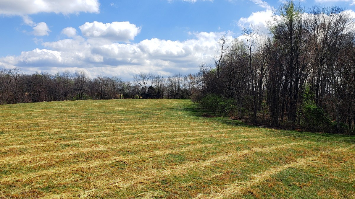 3893 B Beech Hill Road Pulaski, TN 38478 - Photo 2 of 24 a view of a swimming pool with an outdoor space and seating area