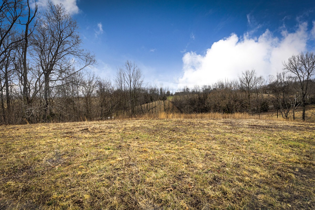 3893 B Beech Hill Road Pulaski, TN 38478 - Photo 22 of 24 a view of a lake view