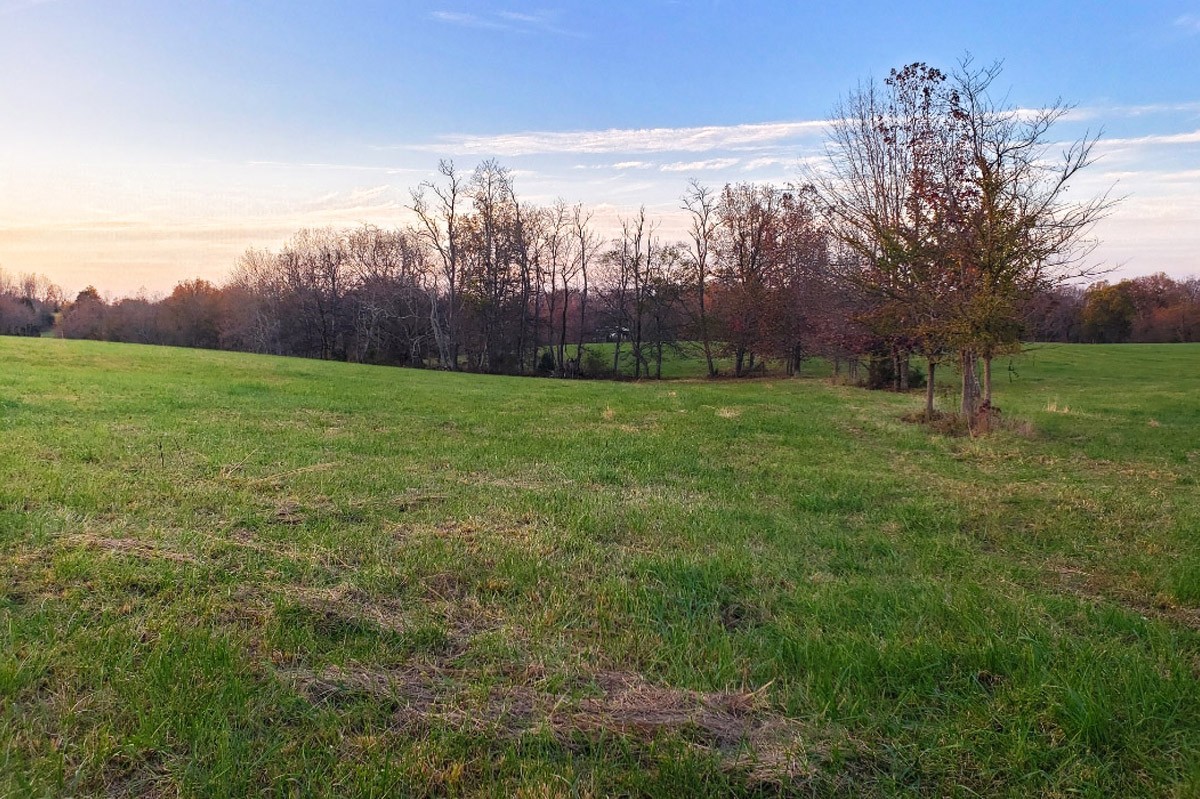3893 B Beech Hill Road Pulaski, TN 38478 - Photo 4 of 24 a view of outdoor space with mountain view