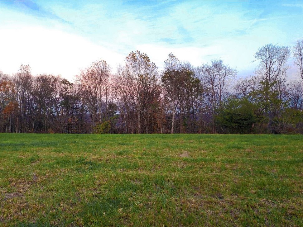 3893 B Beech Hill Road Pulaski, TN 38478 - Photo 5 of 24 a view of a field of grass and trees