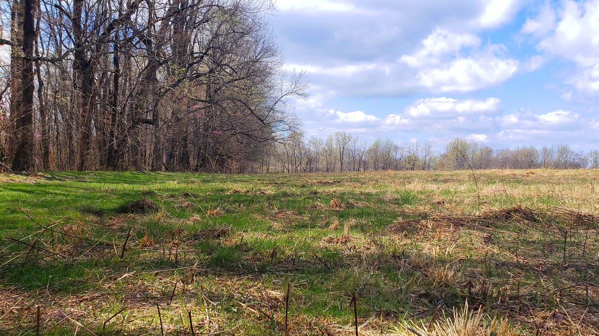 3893 B Beech Hill Road Pulaski, TN 38478 - Photo 6 of 24 a view of a field with an trees