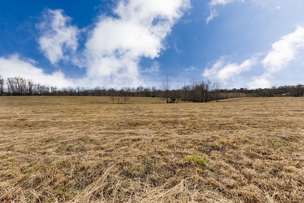 3893 B Beech Hill Road Pulaski, TN 38478 - Photo 9 of 24