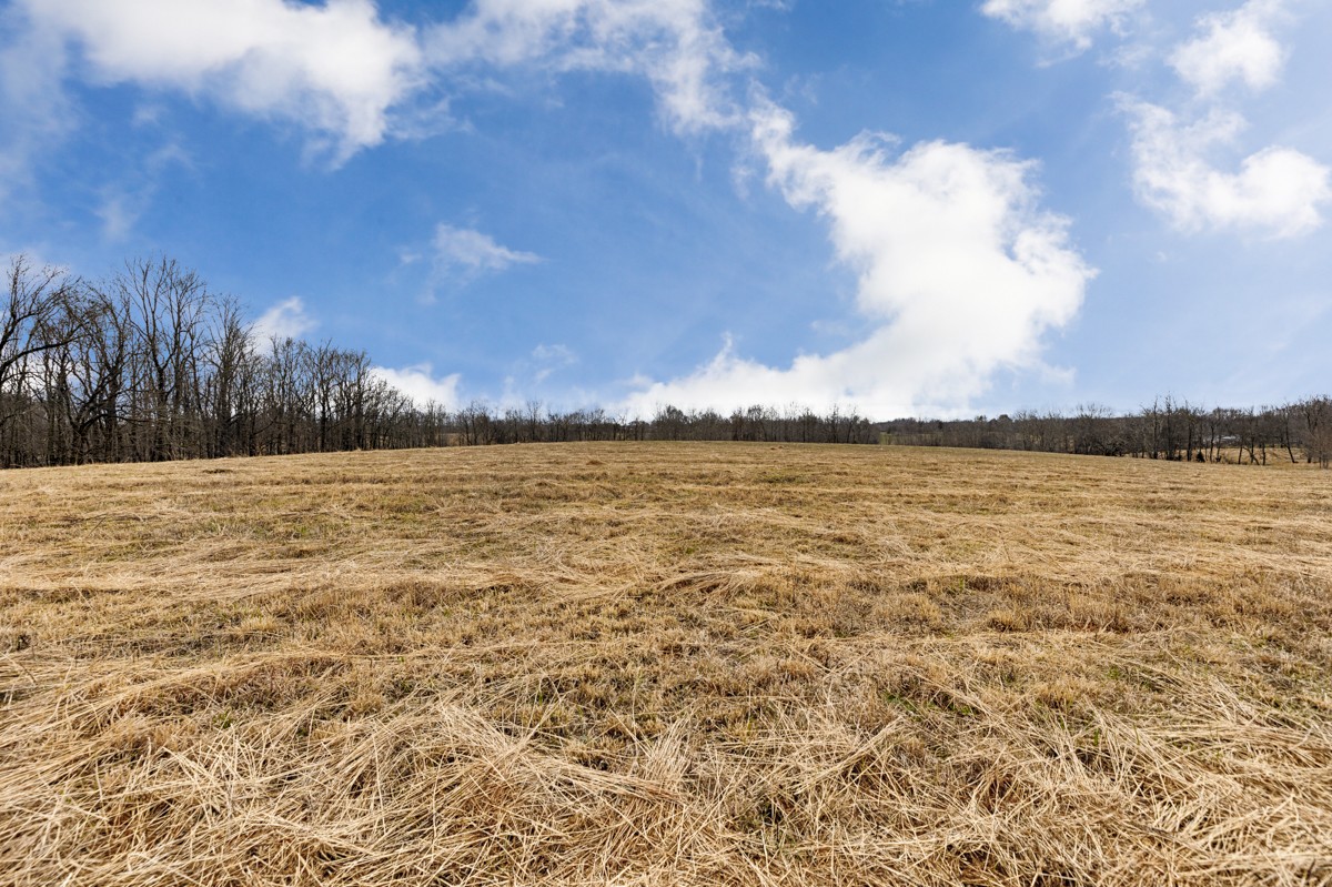 3893 B Beech Hill Road Pulaski, TN 38478 - Photo 10 of 24 a view of a lake view