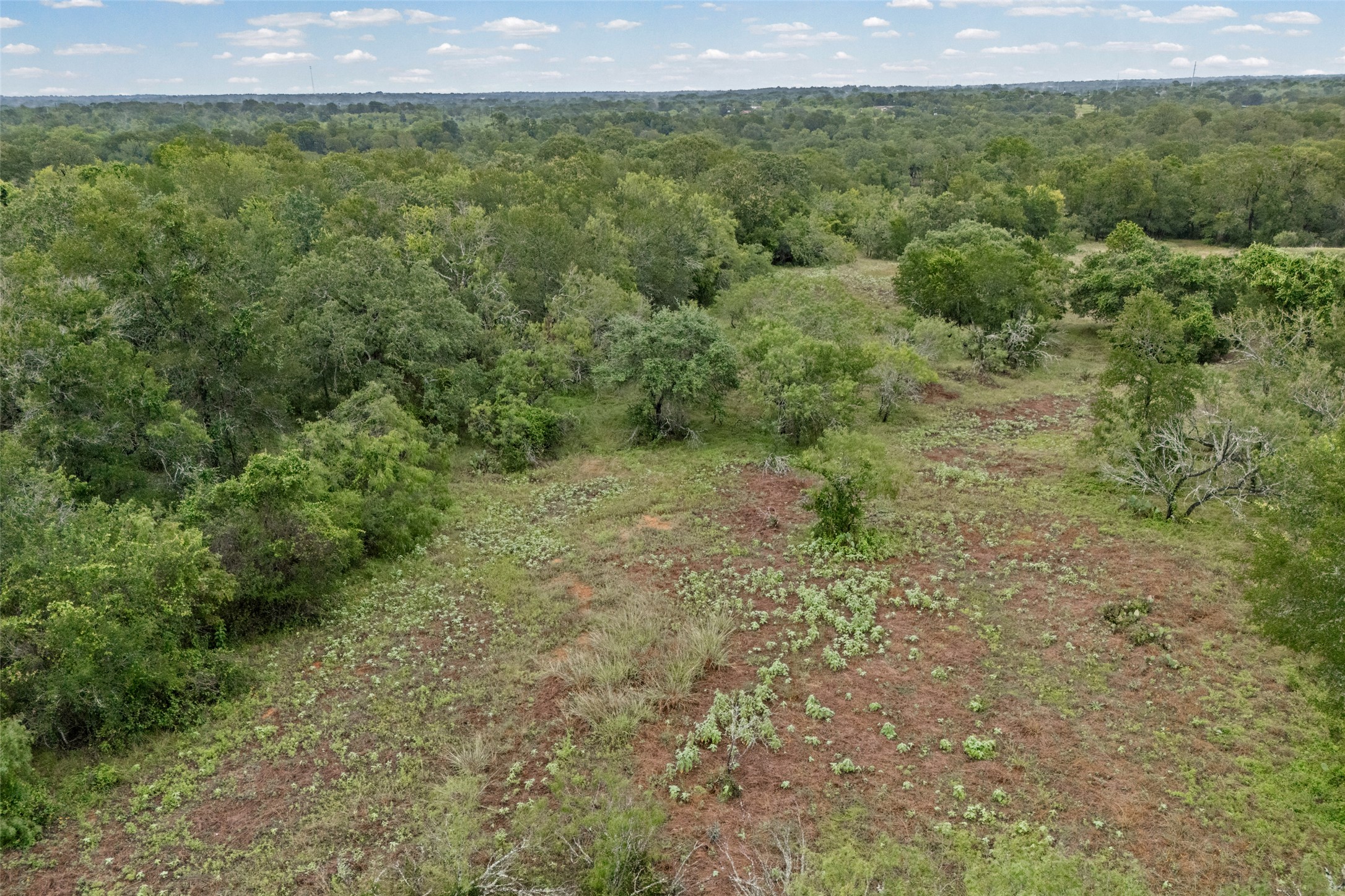0 Oil Field Road Lockhart, TX 78644 - Photo 33 of 39
