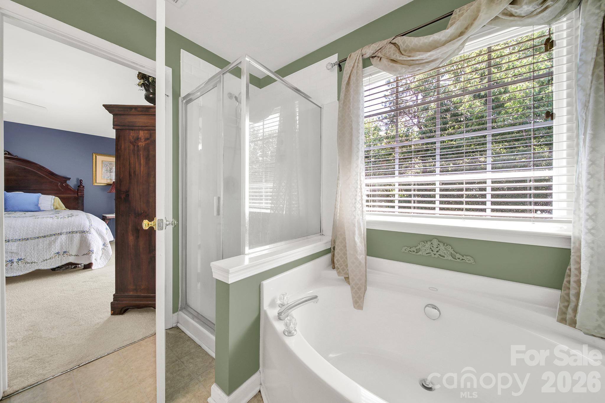 3752 Leela Palace Way Fort Mill, SC 29708 - Photo 20 of 46