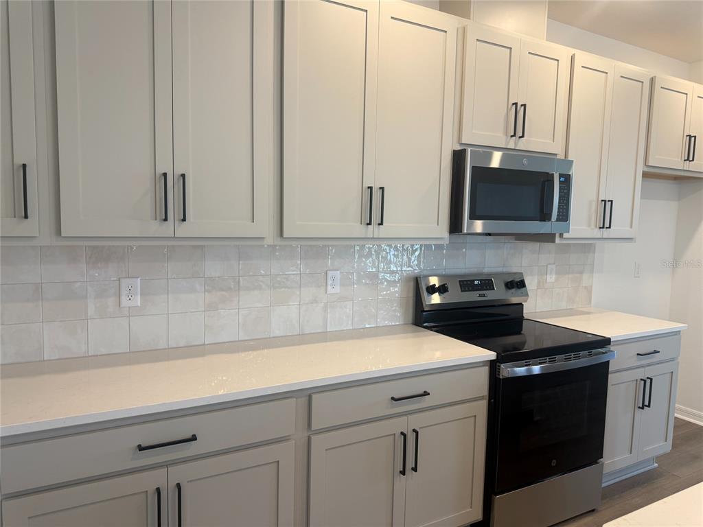 30157 Misty Pines Road Mount Dora, FL 32757 - Photo 4 of 22