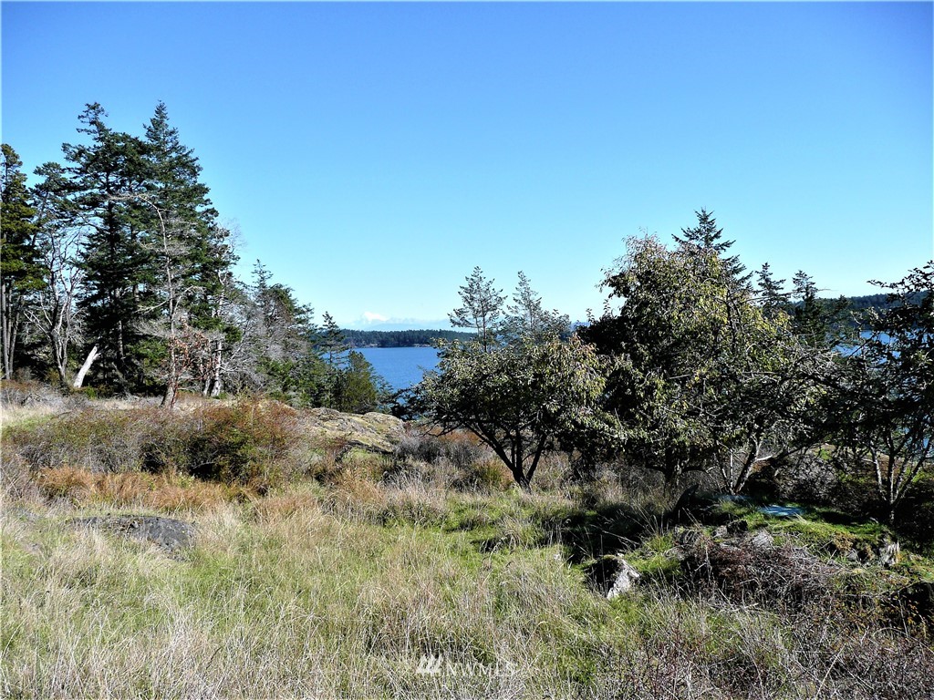 184 Sawmill Road Lopez Island, WA 98261 - Photo 2 of 15