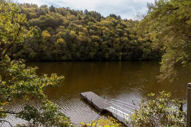 a view of a lake with a mountain in the background