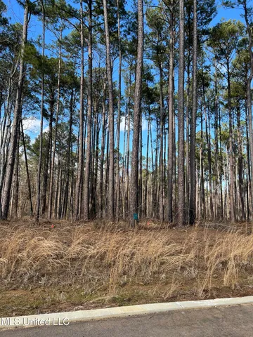 $81,585 | 102 Venus Drive, Canton, MS 39046